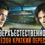 пересказ фильма