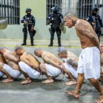 пересказ фильма