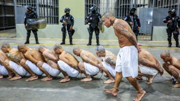 пересказ фильма