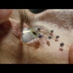 пересказ фильма