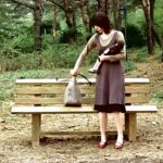 пересказ фильма