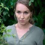 пересказ фильма