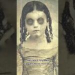 пересказ фильма