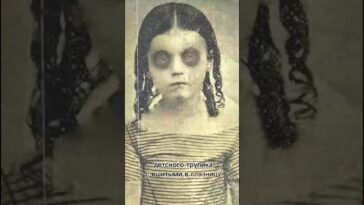 пересказ фильма