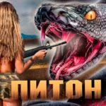 пересказ фильма