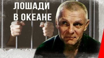 пересказ фильма