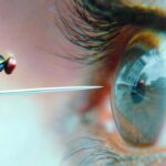 пересказ фильма