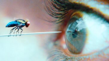 пересказ фильма