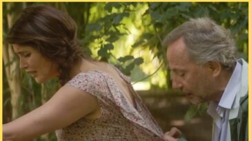 пересказ фильма