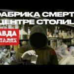 пересказ фильма